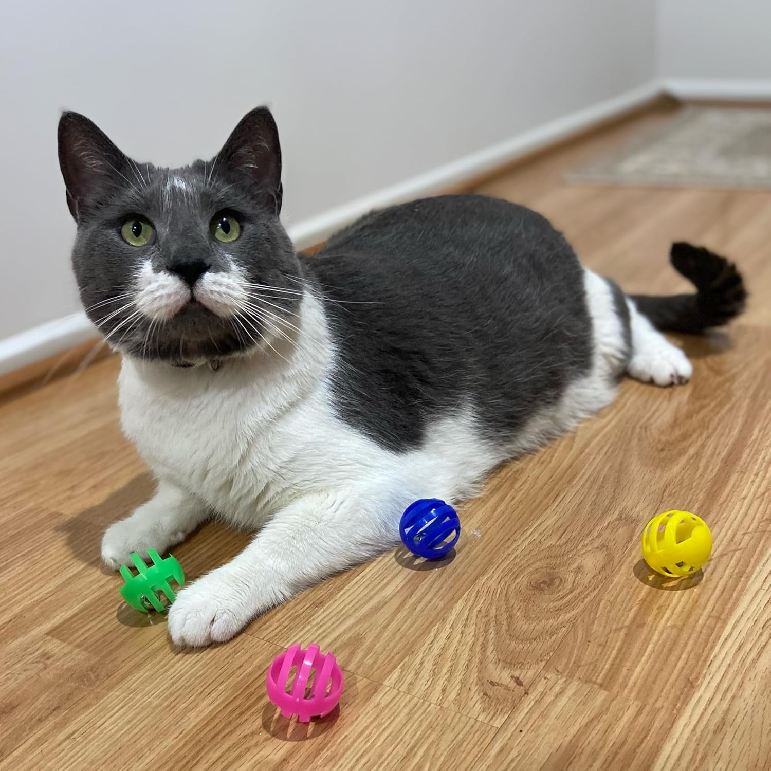 spot-slotted-balls-cat-toy-interactive-cat-toys-for-indoor-cats-to-chase-hunt-and-stimulate-jingle-bell-inside-for-sound-when-batted-around-safe-and-non-toxic-1-5-assorted-4-pack