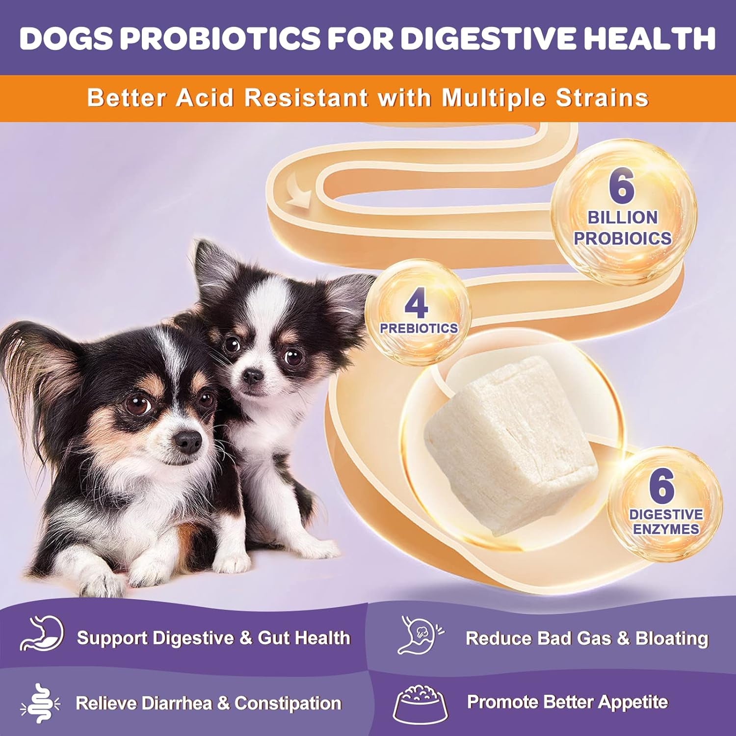 nature-target-6-billion-freeze-dried-probiotics-for-dogs-120-bites-with-prebiotics-enzymes-vitamins-omega-3-support-digestive-gut-health-itch-relief-reduce-diarrhea