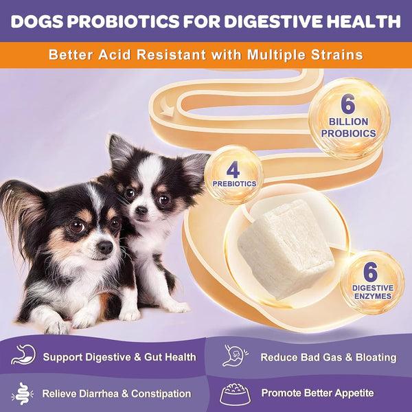 NATURE TARGET 6 Billion Freeze Dried Probiotics for Dogs, 120 Bites | with Prebiotics & Enzymes, Vitamins & Omega 3, Support Digestive & Gut Health, Itch Relief, Reduce Diarrhea2