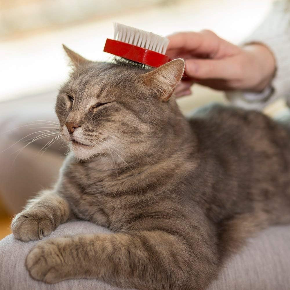 vets-best-waterless-cat-bath-dry-shampoo-no-rinse-formula-4-oz-no-rinse-dry-shampoo-veterinarian-formulated-refreshes-coat-controls-odor-gentle-grooming-for-cats-kittens