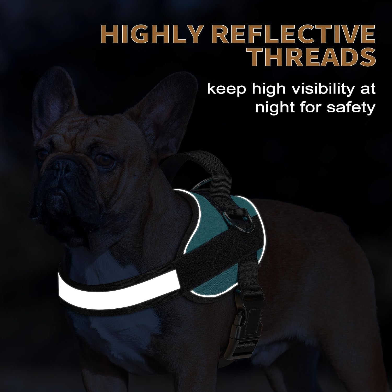 haapaw-essential-dog-harness-no-pull-pet-vest-with-3-leash-clips-no-choke-reflective-adjustable-and-padded-for-easy-walking-and-training-for-medium-dogsm-blue