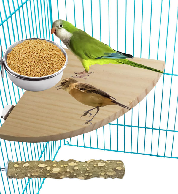 3 Pack Bird Feeding Bowls Cups Parrot Food Water Dishes, Stainless Steel Bird Bowl Cup Dish with Clamp, Birdcage Feeder Pet Cage Bowls for Cockatiel Budgie Conure Macaw Parakeet Small Animal4