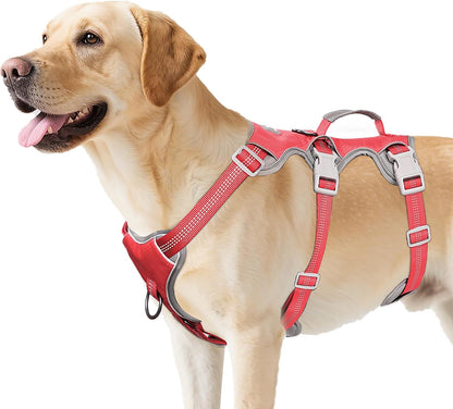 Huntboo Escape Proof Dog Harness, Escape Artist Harness, Reflective Harness with Padded Handle, Breathable, Durable, Adjustable Vest for Medium Dogs Walking, Training, and Running Gear (Blue, M)8