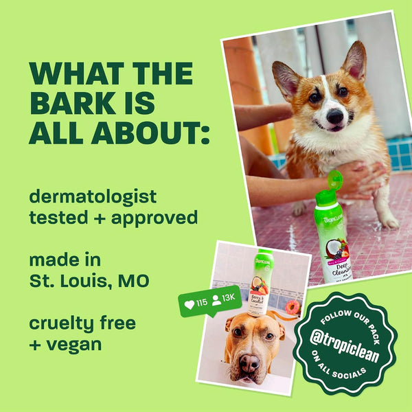 Tropiclean Deshedding Dog Conditioner, Reduces Shedding & Softens Coat, Puppy Safe, Made in the USA, Lime & Cocoa Butter Scent, 20Oz.5