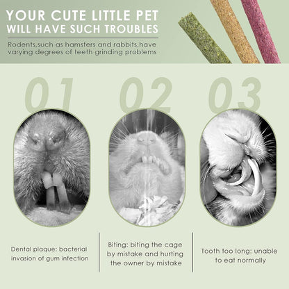 ERKOON Timothy Hay Sticks,Rabbit Chew Toys for Teeth Natural Molar Sticks Rabbits Treats for Bunnies, Chinchilla Guinea Pigs, Gerbil, Hamster (25 Pcs)5