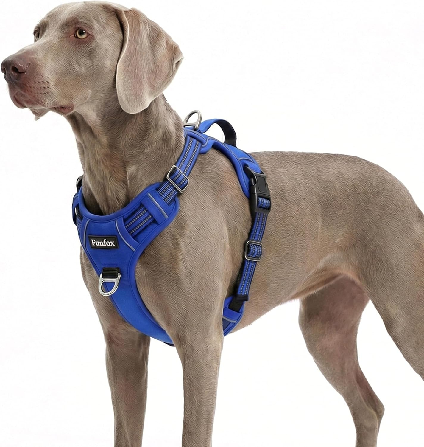 funfox-dog-harness-medium-sized-dog-vertical-handle-easy-control-no-pull-pet-vest-adjustable-with-2-leash-clips-soft-material-reflective-safe-night-walking-for-small-medium-large-breed-black-m