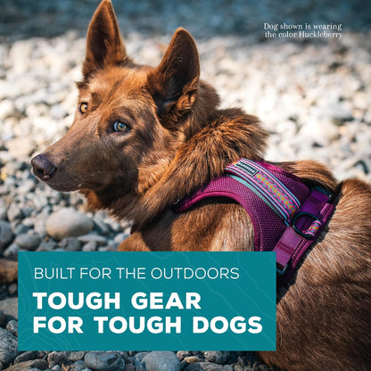 Wilderdog Lightweight Dog Harness with Reflective Straps - Medium - Huckleberry2