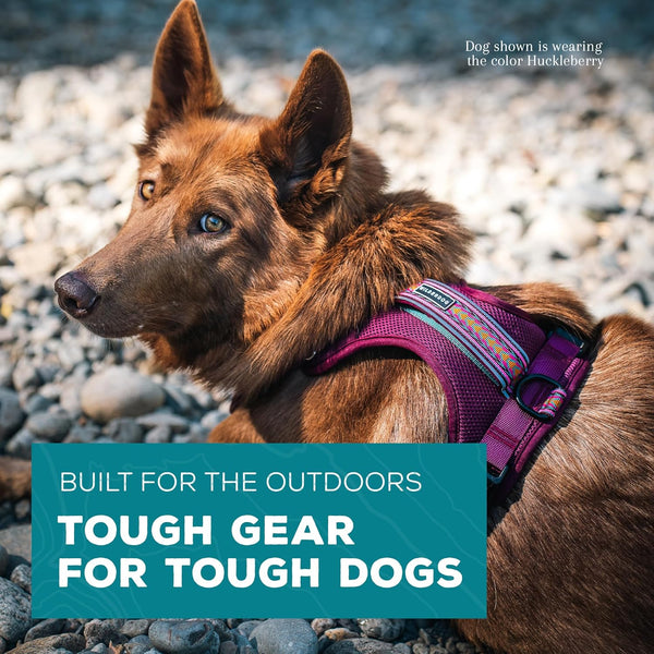 Wilderdog Lightweight Dog Harness with Reflective Straps - Medium - Huckleberry2