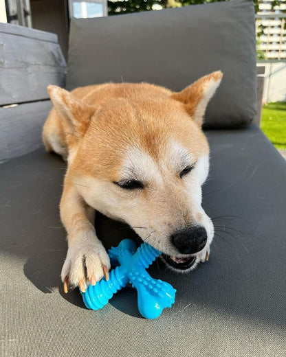 Nylabone Power Chew Comfort Hold X Bone Dog Chew Toy, Beef Flavor, Small | Small Breeds, Durable Dog Toys for Dogs up to 25 Lbs, Teeth-Cleaning Textures, Discourages Destructive Chewing, Long Lasting6