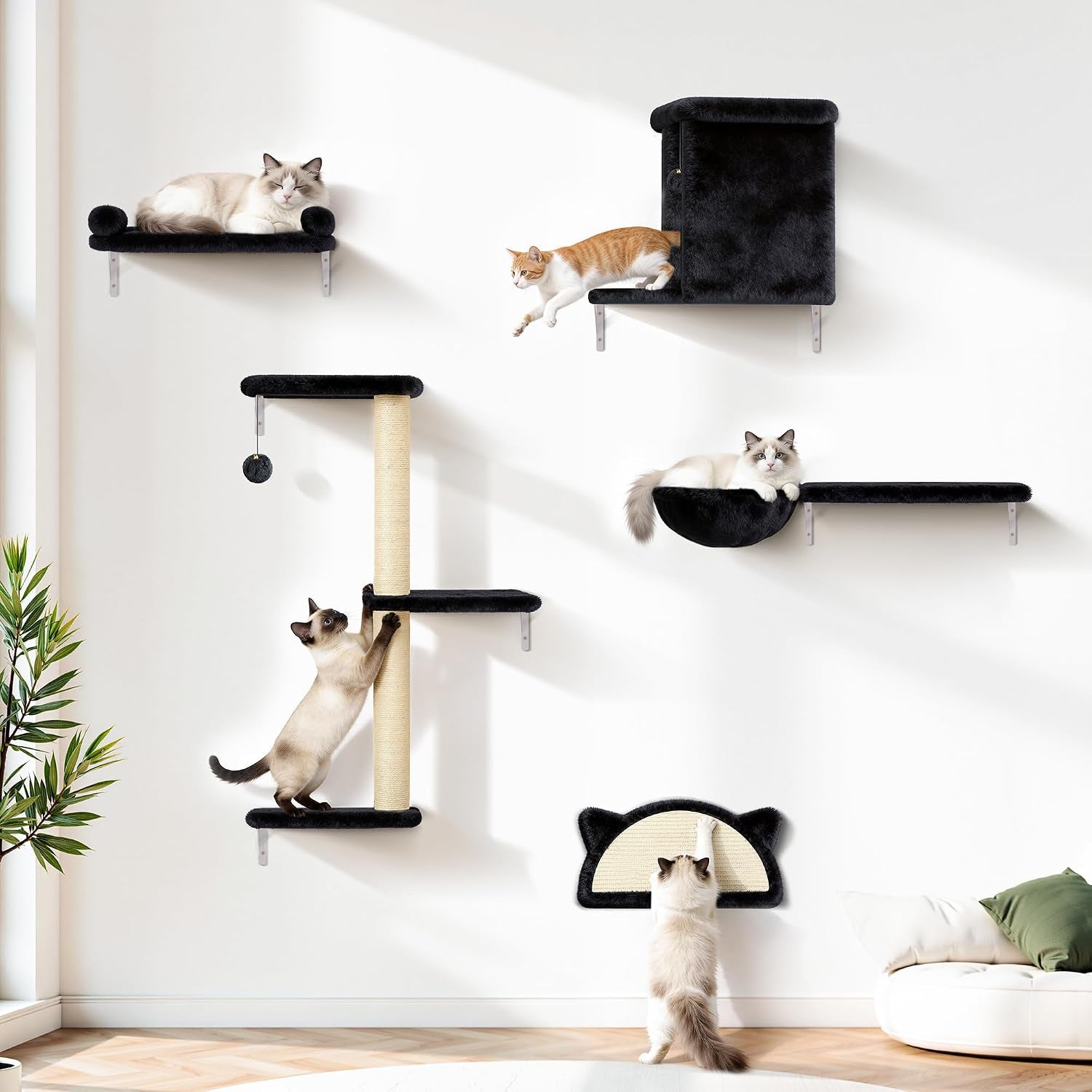 5-in-1-cat-wall-shelves-solid-wood-cat-wall-furniture-set-for-indoor-cats-44-lb-per-shelf-72-hour-load-tested-pre-drilled-fits-16-in-stud-drywall-solid-walls-for-small-to-medium-cats