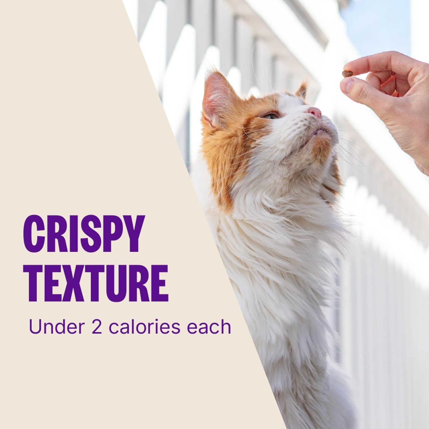 wellness-kittles-crunchy-cat-treats-all-lifestages-kitten-to-senior-natural-grain-free-chicken-and-cranberry-flavor-2-oz-bag