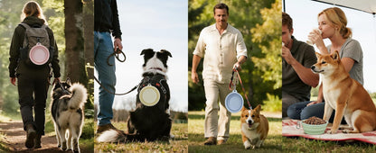 2-Pack Portable Pet Bowls, 12OZ Collapsible Dog & Cat Water Bowl with Hook | Bpa-Free Leak-Proof Foldable Food Dish for Small Medium Pets, Travel, Camping Daily Indoor&Outdoor Essentials8