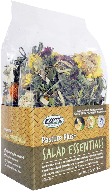 Exotic Nutrition Pasture Plus+ Salad Essentials - Healthy Natural High-Fiber Dried Flower & Herb Treat - Guinea Pigs, Rabbits, Chinchillas, Prairie Dogs, Degus, Hamsters, Gerbils & Other Small Pets4