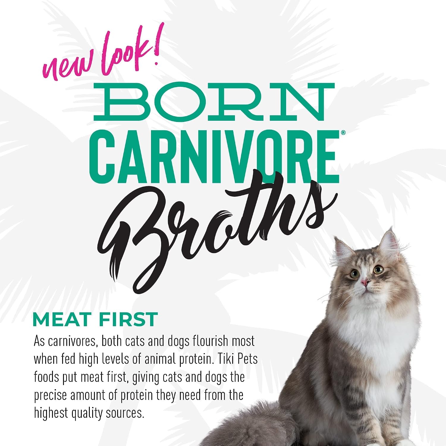 tiki-cat-born-carnivore-broths-tuna-recipe-hydration-and-flavor-supplement-cat-food-topper-1-3-oz-pouch-pack-of-12