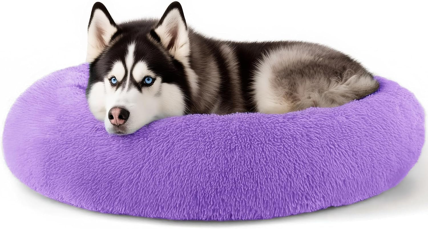 hoewina-dog-cat-bed-for-indoor-cats-20in-calming-donut-bed-for-puppy-and-kitten-washable-round-fluffy-pet-bed-for-small-medium-dogs-and-cats-light-grey