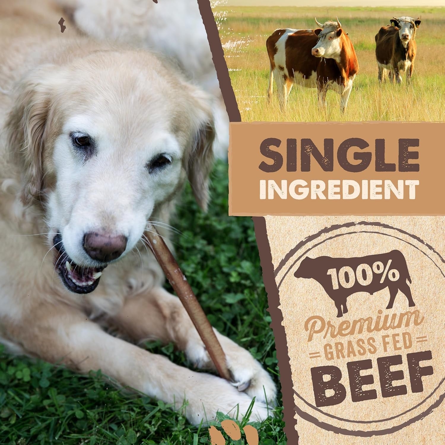 mighty-paw-12-bully-sticks-for-dogs-large-medium-and-small-breeds-chew-single-ingredient-grass-fed-lower-odor-5-pack-high-protein-boredom-buster-all-natural-sticks