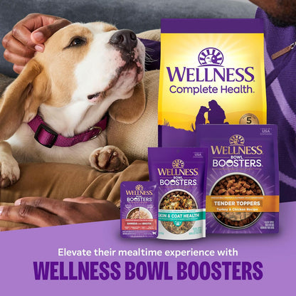 Wellness Bowl Boosters Digestive Health Dog Food Topper with Freeze Dried Pieces for Small, Medium, and Large Breeds, Sensitive Stomach, Grain Free, Natural, Chicken Recipe, 4 Oz Bag8