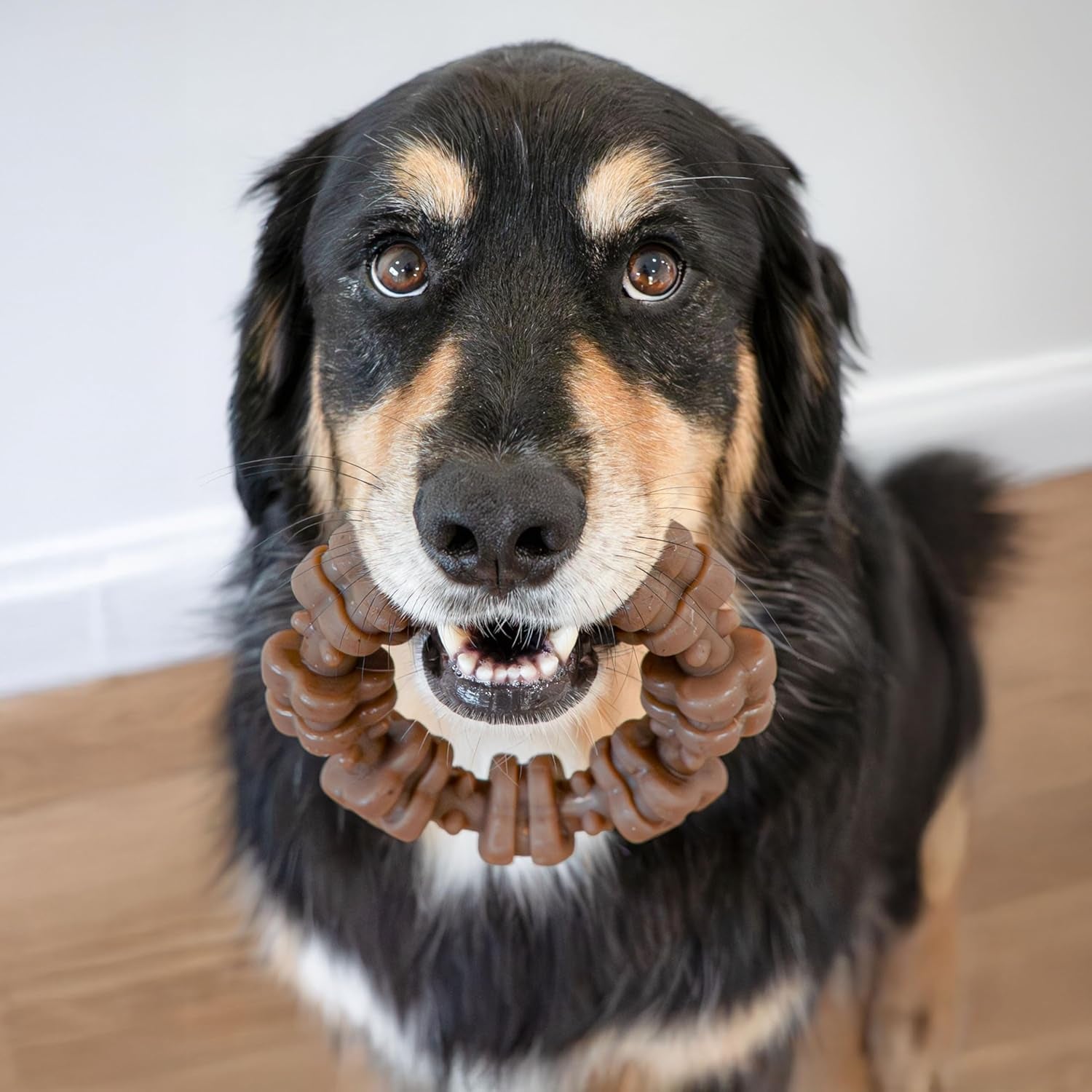 nylabone-strong-chew-ring-dog-chew-toy-made-with-real-beef-chicken-x-large-breeds-durable-long-lasting-dog-bone-textures-help-clean-teeth-keeps-dogs-busy-for-dogs-50-lbs