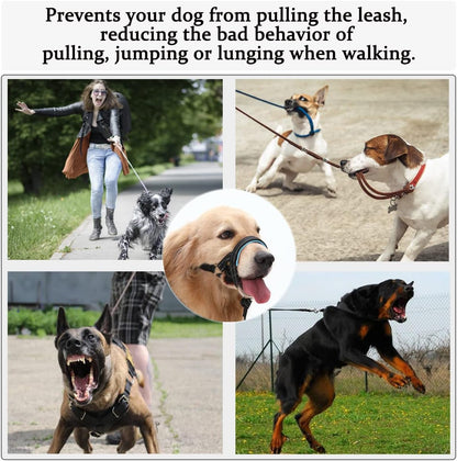 BARKLESS Dog Head Collar, No Pull Training Collar with Soft Padding | Reflective Head Halter for Large Dogs, Labrador, Controls Pulling and Lunging with Secure Safety Strap for Daily Walks3