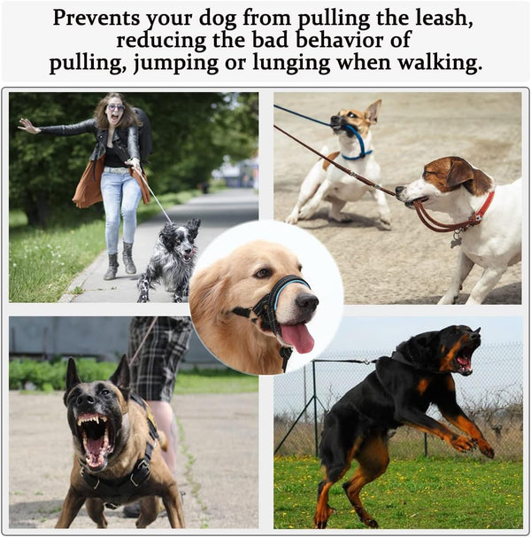 BARKLESS Dog Head Collar, No Pull Training Collar with Soft Padding | Reflective Head Halter for Large Dogs, Labrador, Controls Pulling and Lunging with Secure Safety Strap for Daily Walks3