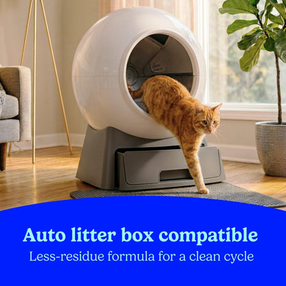 Fresh Step Advanced Clean Paws Multi Cat Clumping Litter with Febreze Freshness, Low Tracking, 18.5 Lb. Box, Pack of 210