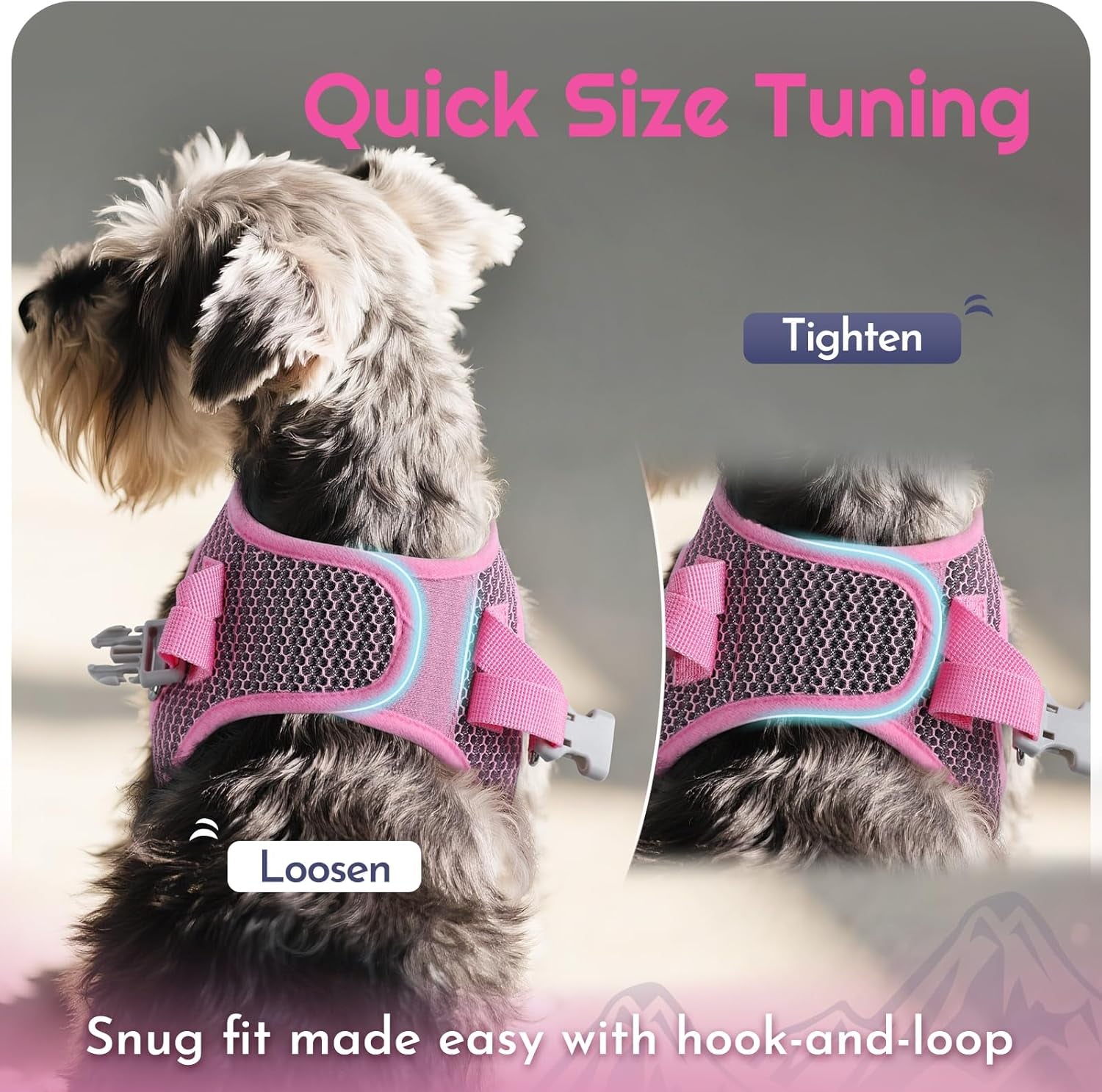 eagloo-small-dog-harness-and-leash-set-step-in-small-sized-puppy-pet-vest-light-soft-breathable-air-mesh-easy-on-and-off-with-hook-loop-reflective-for-safe-walking-pink-s