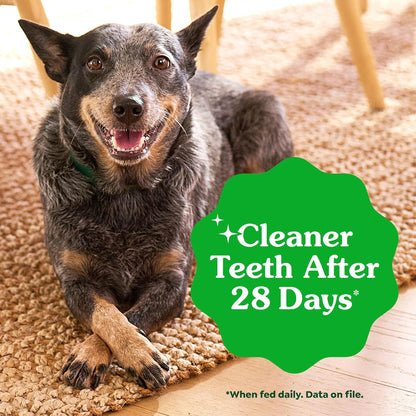 Greenies Puppy Teenie Natural Dental Dog Treats, Original Flavor, 22 Count | Veterinarian-Recommended, Natural Ingredients, Cleans Teeth & Freshens Breath, for Dogs 5-15 Lbs, 6 Oz. Pack5