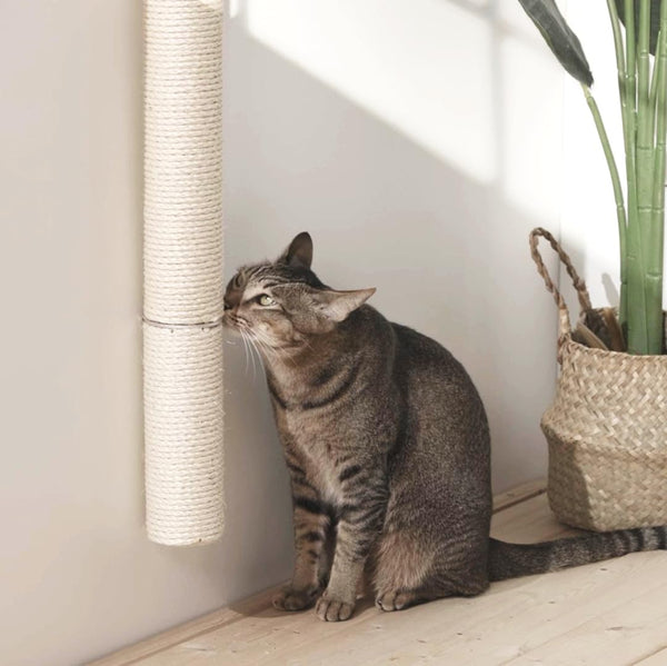Xympo 34" Wall Mounted Cat Scratcher, Sisal Scratching Post8