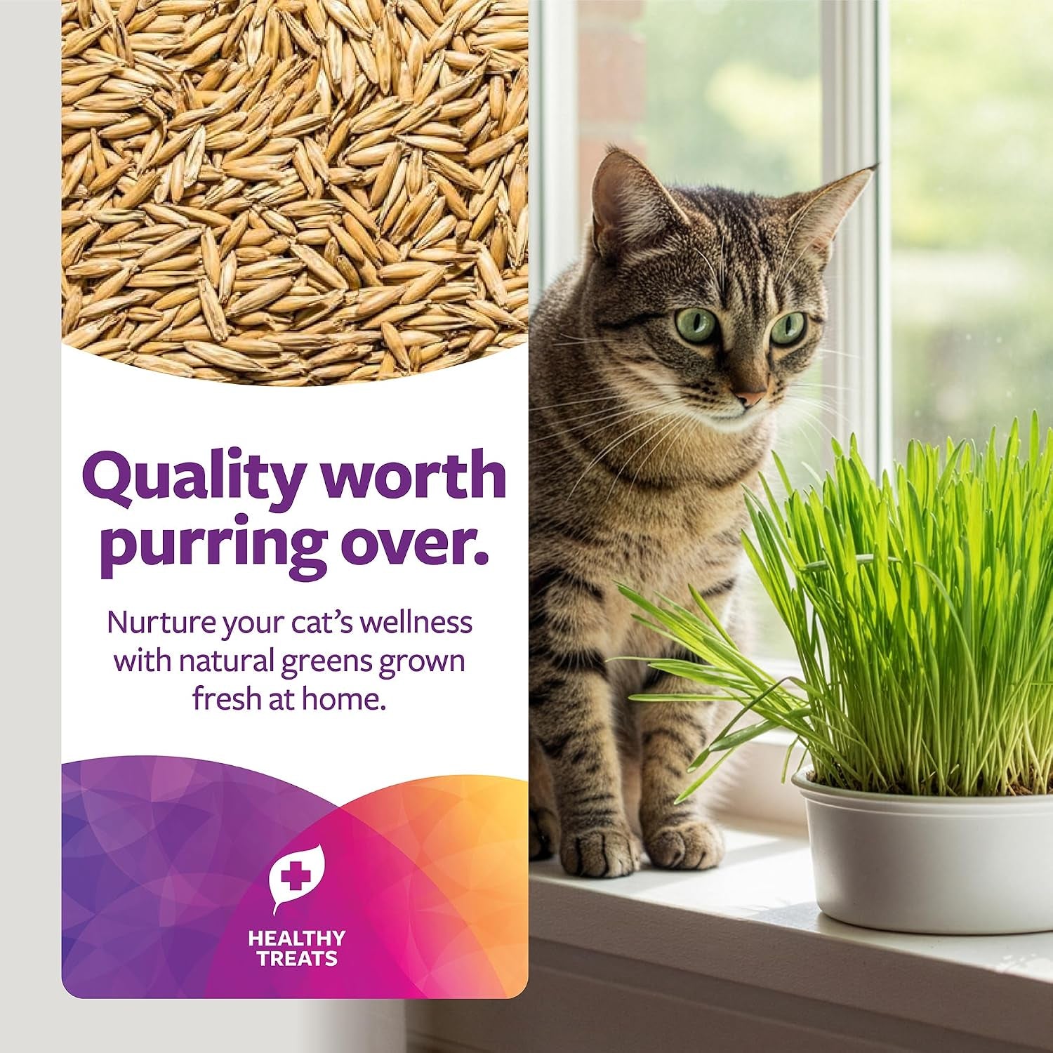smartykat-sweet-greens-organic-oat-grass-all-in-one-cat-grass-grow-kit-easy-to-grow-to-support-digestion-hairball-reduction