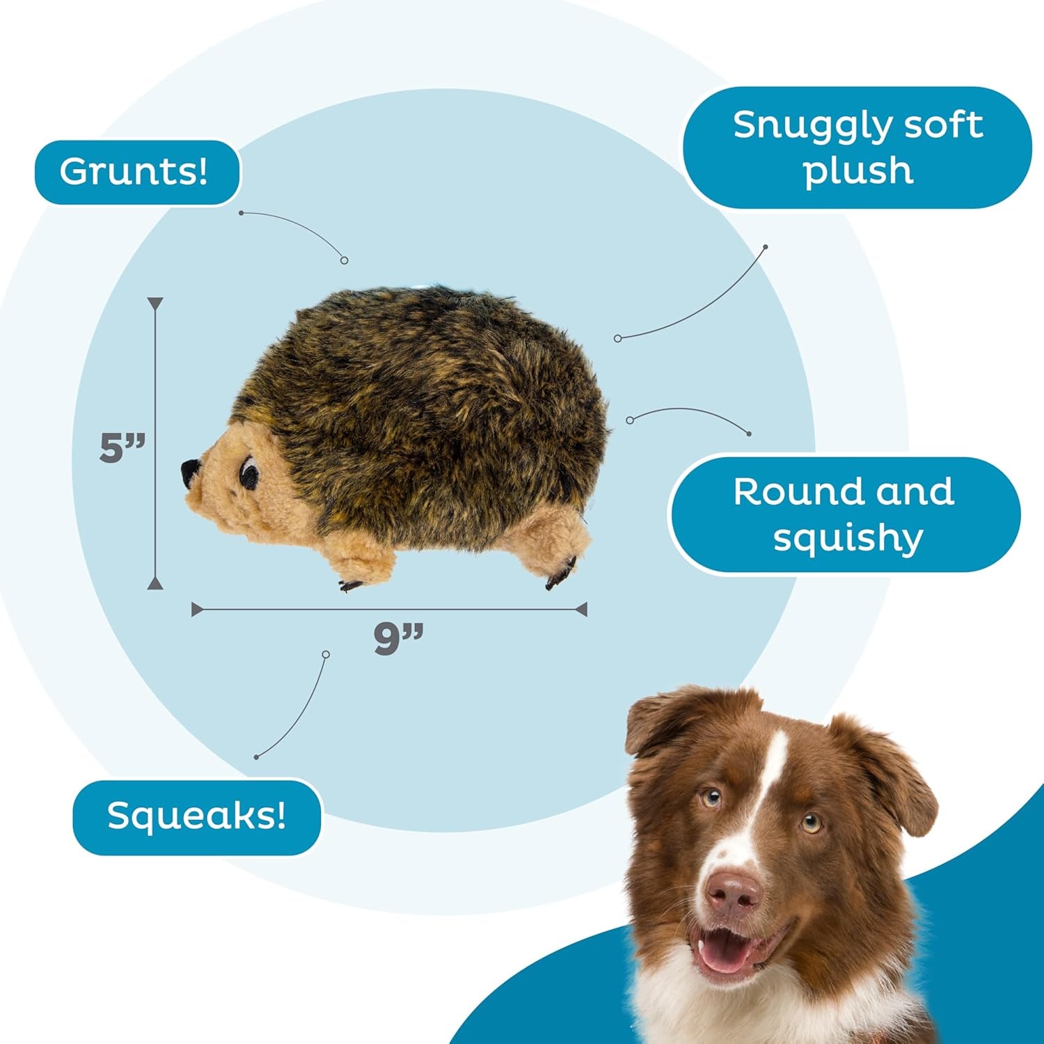 outward-hound-hedgehogz-stuffed-dog-toy-soft-plush-hedgehog-grunts-squeaks-medium-9-x-5-x-6-5
