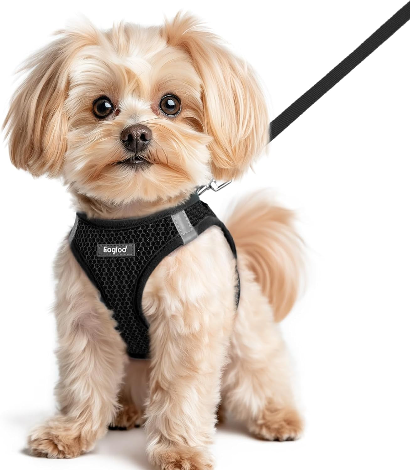 eagloo-small-dog-harness-and-leash-set-step-in-small-sized-puppy-pet-vest-light-soft-breathable-air-mesh-easy-on-and-off-with-hook-loop-reflective-for-safe-walking-pink-s