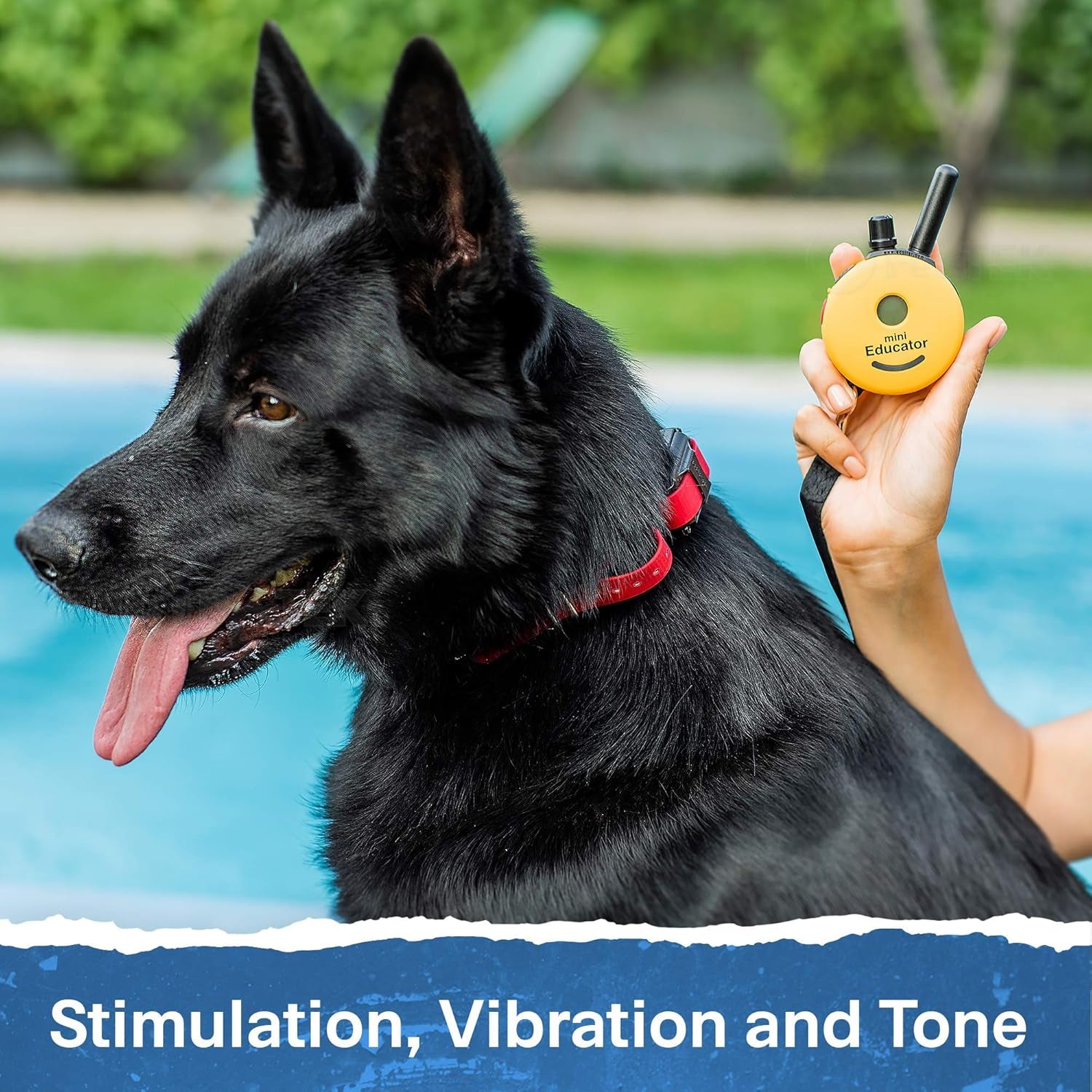 educator-et-300-mini-e-collar-for-dog-training-with-remote-1-2-mile-range-waterproof-100-blunt-stimulation-levels-tone-or-vibration-mode-night-light-tracking-for-small-medium-large-dogs