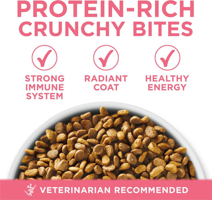Purina ONE High Protein, Natural Dry Kitten Food, +Plus Healthy Kitten Formula - 7 Lb. Bag7