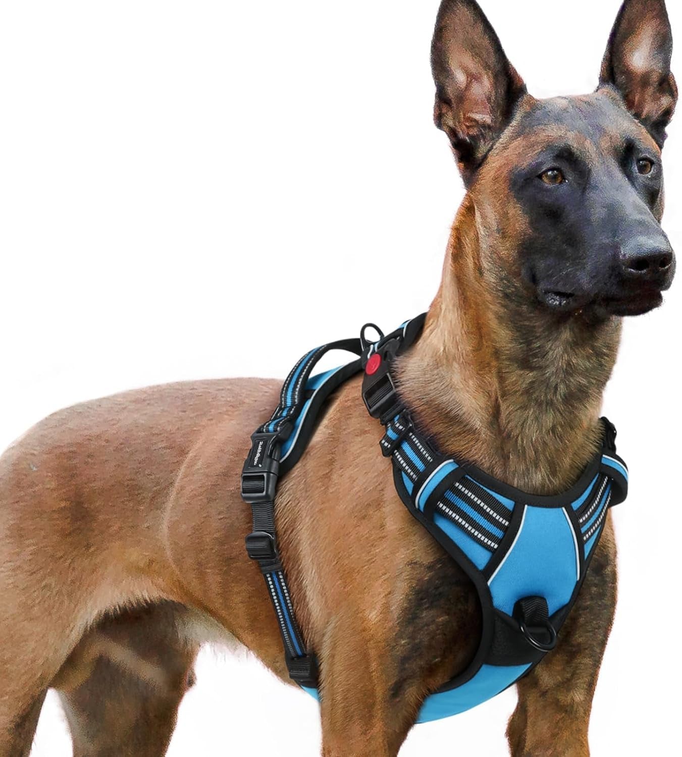 rabbitgoo-dog-harness-medium-sized-updated-easy-on-off-with-3-buckles-no-pull-no-choke-walking-with-2-clips-and-handle-adjustable-soft-reflective-blue-medium