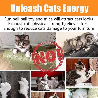 21 Pcs Cat Toys for Indoor Cats Collapsible Cat Tunnel Interactive Feather Teaser Wand Ball Toy for Kitten Cats7
