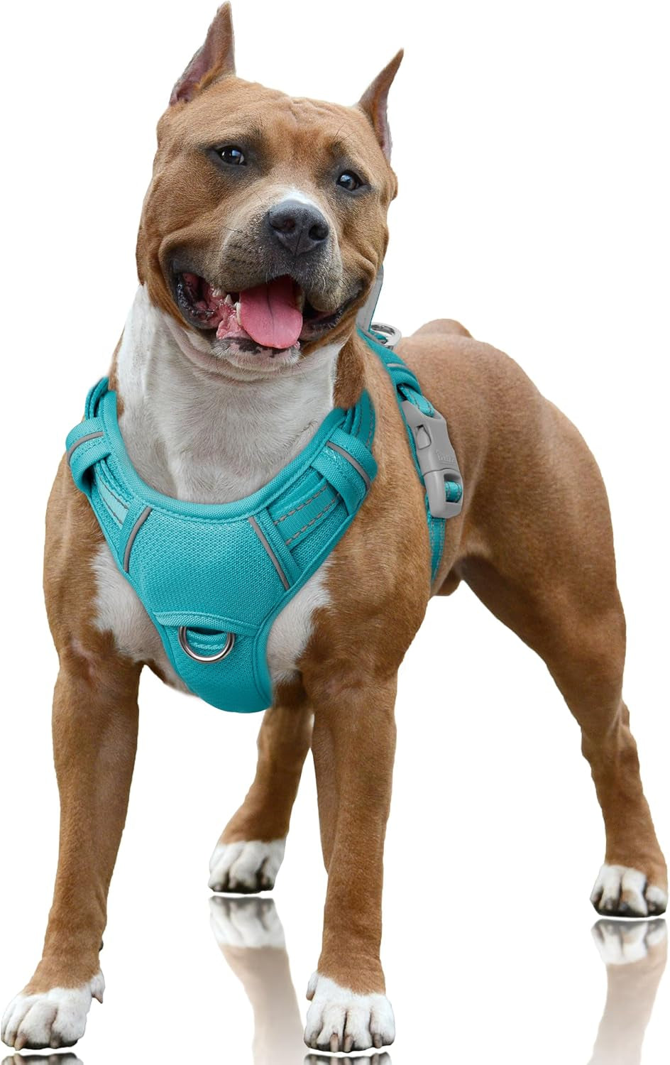 barkbay-no-pull-dog-harness-large-reflective-dog-harness-with-front-clip-and-easy-control-handle-for-walking-training-running-with-id-tag-pocketocean-blue-l