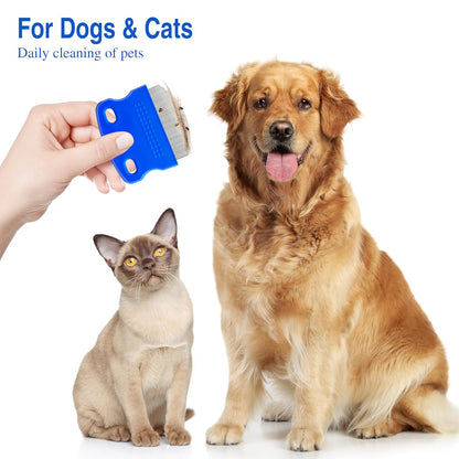 2 Pack Professional Eye Comb for Pets,Stainless Steel Tear Stain Remover,Flea Lice Comb,For Cats & Dogs,Gentle Round-Head Grooming Tool,Precisely Removes Stains, Dirt and Debris from the Eye Area6