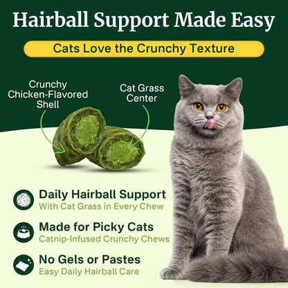 Cat Grass Treats Chews, Cat Treats for Indoor Cats, 500 Hairball Treatment for Cats, Hairball Control, Feline Grass Chews with Fish Oil, Taurine & B Vitamins for Skin & Coat, Digestion & Dental Care2