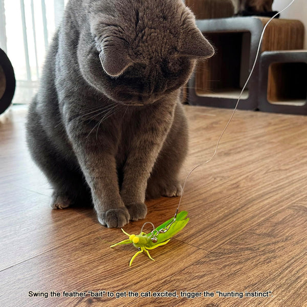 Ttcat 3 Pack Grasshopper Cat Wand Refills, Realistic Green Insect Natural Feather Detachable Replacement Toy with Bell, Universal Lobster Clip-On Cat Teaser Attachments.6