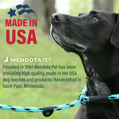 Mendota Pet Slip Leash - Dog Lead and Collar Combo - Made in the USA - Mocha, 3/8 in X 6 Ft - for Small/Medium Breeds3