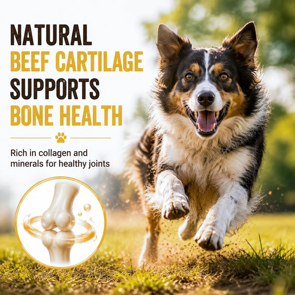 Dog Treats, Chicken Duck Jerky Wrapped Beef Cartilage Sticks Dental Chews | Natural Long Lasting Dog Bones Snack, Rawhide Free Healthy Dog Training Treats for Small Medium Large Dogs, 10.6Oz7
