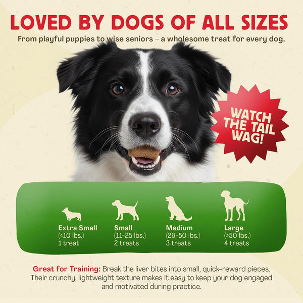 Chewmasters 100% Pure Beef Liver Bites 17.6Oz Freeze Dried Cat & Dog Treats | All Natural High Protein Training Treats, Grain Free, Healthy Real Meat Flavor for All Life Stages, No Additives, Made in USA5