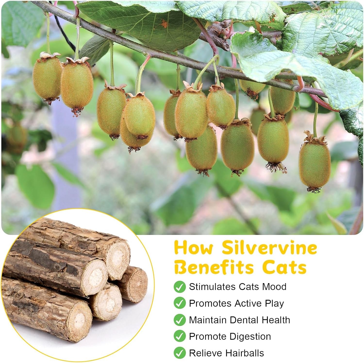 9-pack-silvervine-sticks-for-cats-natural-cat-chew-stick-toys-set-matatabi-dental-care-cat-treat-for-indoor-cats-kittens-dental-care-teeth-cleaning-play