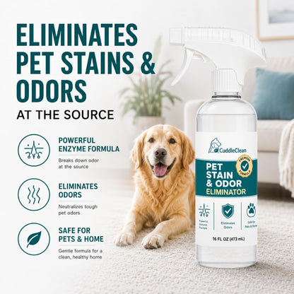 Pet Stain & Odor Remover for Dogs & Cats, Bio-Enzyme Cleaner 32Oz | for Urine, Vomit & Accidents, Eliminates Tough Odors at the Source, Safe for Carpet, Furniture, Floors & Pet Beds2