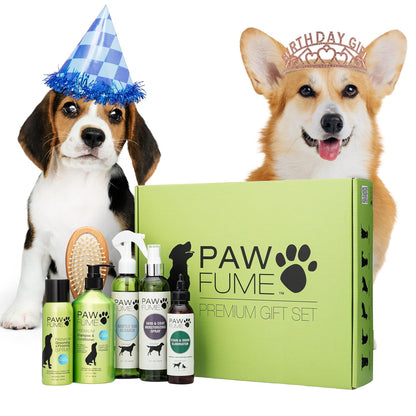 PAWFUME Dog Perfume Spray Long Lasting Scent for Grooming, Show Dog, 1-Pack – Keep Your Pup Fresh All Day – Hypoallergenic, Alcohol-Free, Detangling Formula – Moisturizing Pet Cologne Spray for Dogs17
