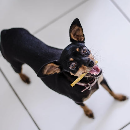 Fieldcrest Farms Nothin' to Hide Twist Stix, Beef Flavor, Easily Digestible, Supports Skin, Coat, Joints & Muscles, for Moderate Chewers under 15Lbs, 50 Pieces13
