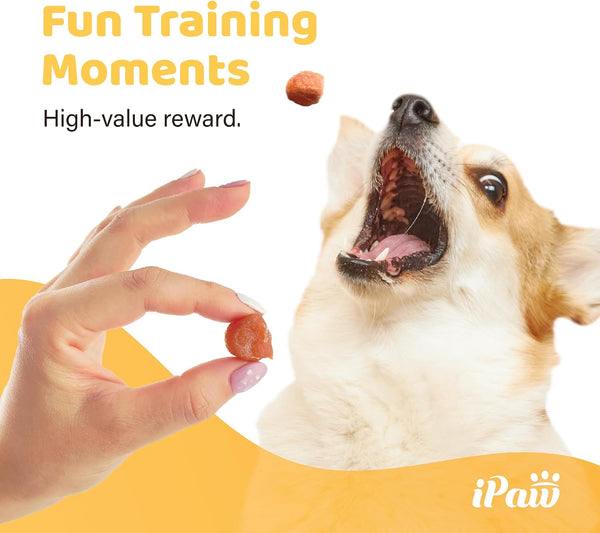 Ipaw Chicken Tots Dog Treat,Sqf-Certified Production Process,Training Treat | Puppy Training, Human Grade, Training Reward, Hypoallergenic, Easy to Digest4