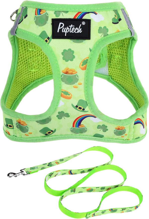 PUPTECK Dog Harness and Leash Set for Small Medium Dogs No Pull Step-In Soft Mesh Puppy Cat Vest Harnesses Reflective at Night, Green S38