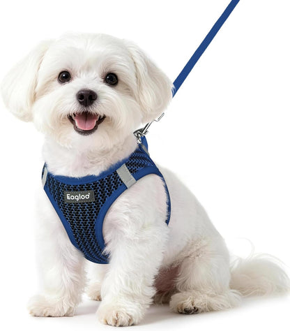 Eagloo Small Dog Harness and Leash Set, Step in Small Sized Puppy Pet Vest | Light, Soft, Breathable Air Mesh, Easy on and off with Hook & Loop, Reflective for Safe Walking, Pink, S63