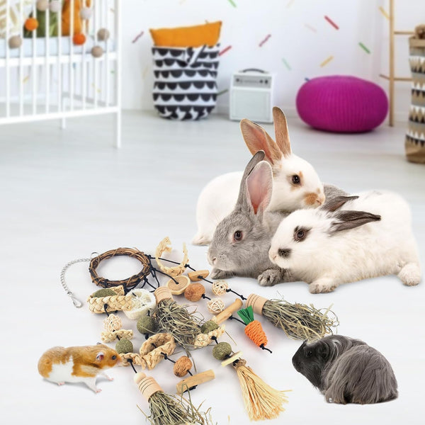 Bissap Rabbit Chew Toy Snack for Small Pet | Bunny Cage Hanging Chewing, Natural Teeth Grinding Toy Treat, for Guinea Pig Chinchilla Hamster Rat (Timothy Hay & Vine)5